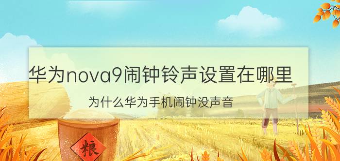 华为nova9闹钟铃声设置在哪里 为什么华为手机闹钟没声音？